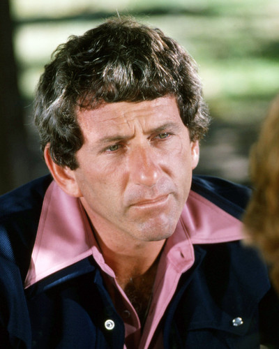 Picture of Barry Newman in Petrocelli
