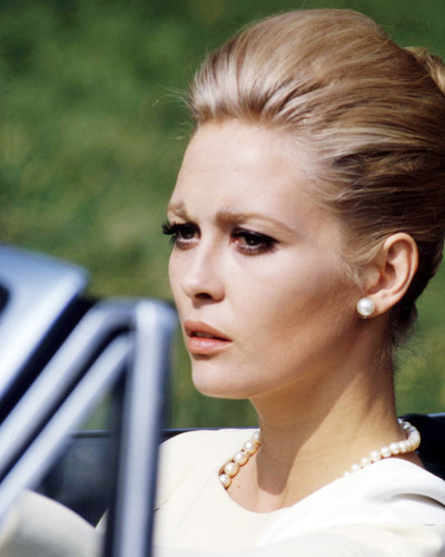 Picture of Faye Dunaway in The Thomas Crown Affair