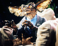 Picture of Gremlins