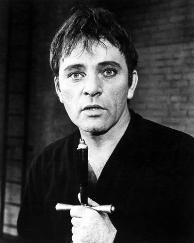 Richard Burton Hamlet Posters and Photos 100342 Movie Store