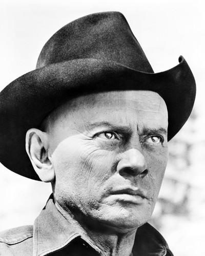 Picture of Yul Brynner in Westworld