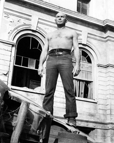Picture of Yul Brynner in The Ultimate Warrior
