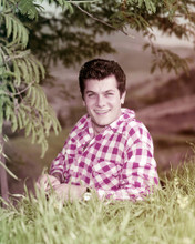 Picture of Tony Curtis