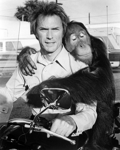 Picture of Clint Eastwood in Every Which Way But Loose