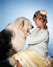 Picture of Hayley Mills in Summer Magic