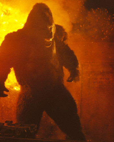 Picture of King Kong