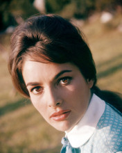 Picture of Karin Dor