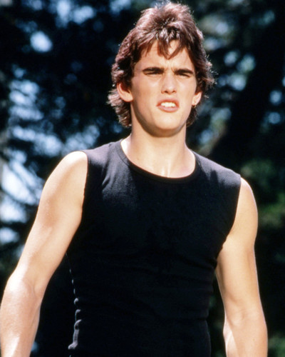 Matt Dillon Rumble Fish Posters And Photos 294179 | Movie Store