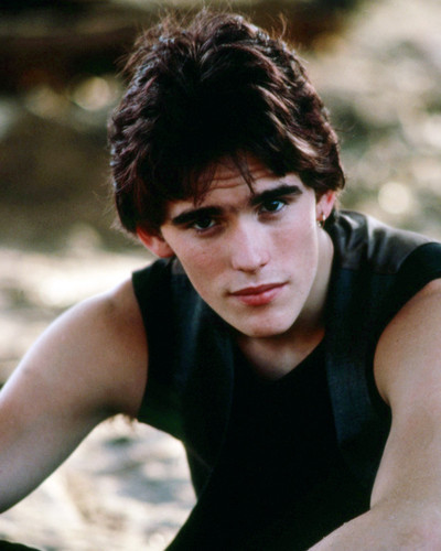 Matt Dillon Rumble Fish Posters And Photos 294258 | Movie Store