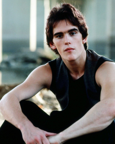 Matt Dillon Rumble Fish Posters And Photos 294304 | Movie Store