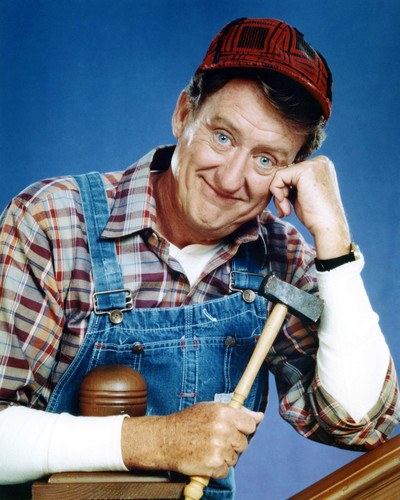 Picture of Tom Poston in Newhart
