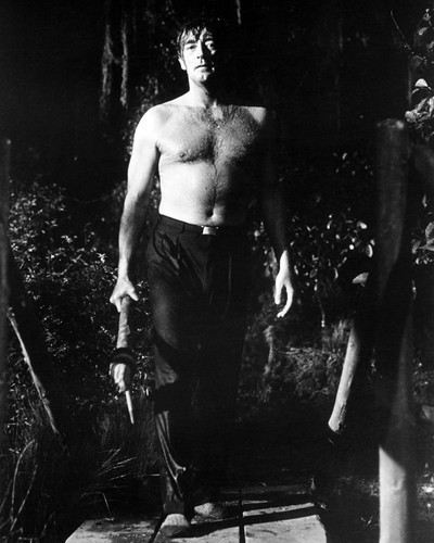 Picture of Robert Mitchum in Cape Fear