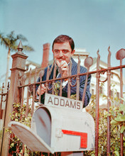 Picture of John Astin in The Addams Family