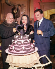 Picture of Carolyn Jones in The Addams Family