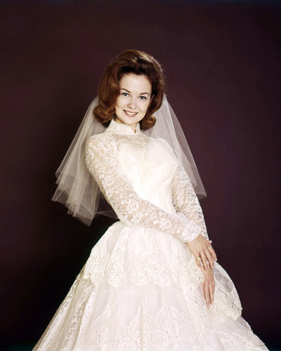 Picture of Shelley Fabares