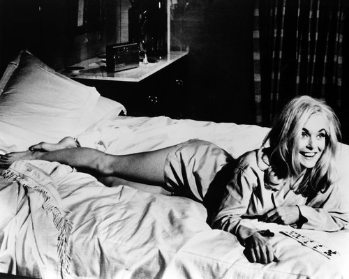 Picture of Shirley Eaton