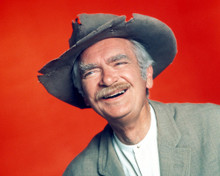 Picture of Buddy Ebsen in The Beverly Hillbillies