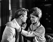 Picture of Troy Donahue in Rome Adventure
