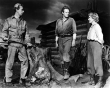 Picture of Alan Ladd in Shane