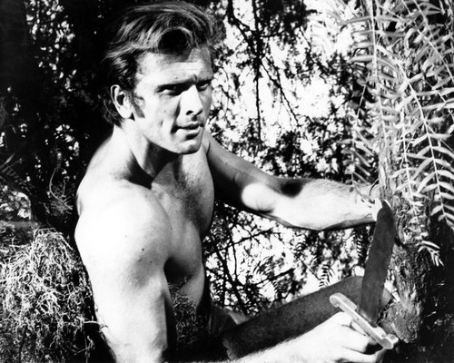 Picture of Ron Ely in Tarzan