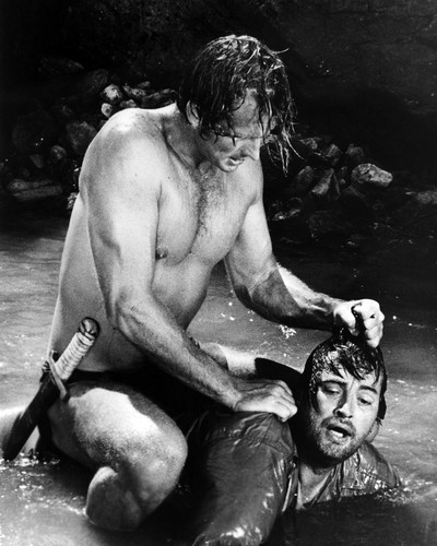 Picture of Ron Ely in Tarzan