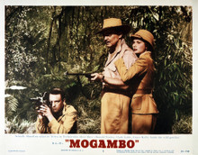 Picture of Mogambo