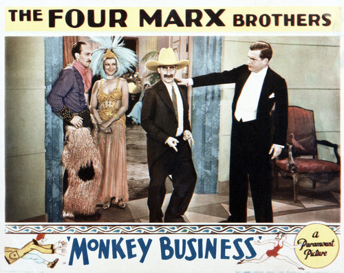 Picture of Monkey Business