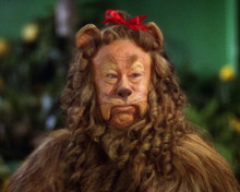 Picture of Bert Lahr in The Wizard of Oz