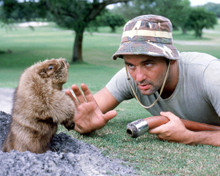 CADDYSHACK PRINTS AND POSTERS 295491