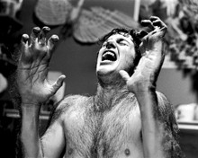 AMERICAN WEREWOLF IN LONDON PRINTS AND POSTERS 101266