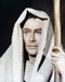 Picture of Peter O'Toole in The Bible: In the Beginning...
