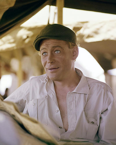 Picture of Peter O'Toole