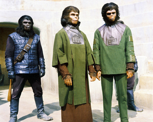 Picture of Roddy McDowall in Planet of the Apes