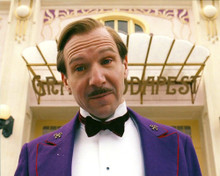 Picture of Ralph Fiennes in The Grand Budapest Hotel