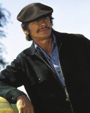Picture of Charles Bronson in Mr. Majestyk