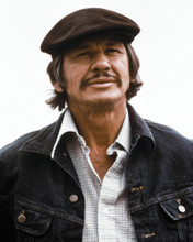 Picture of Charles Bronson in Mr. Majestyk