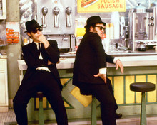 Picture of The Blues Brothers