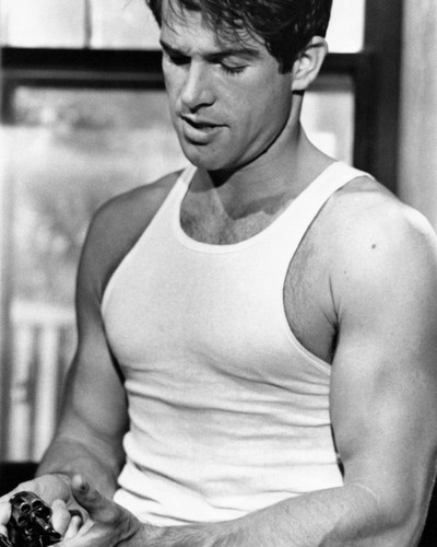 Picture of Warren Beatty in Bonnie and Clyde