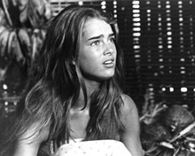 Picture of Brooke Shields in The Blue Lagoon