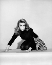 Picture of Ann-Margret in Kitten with a Whip