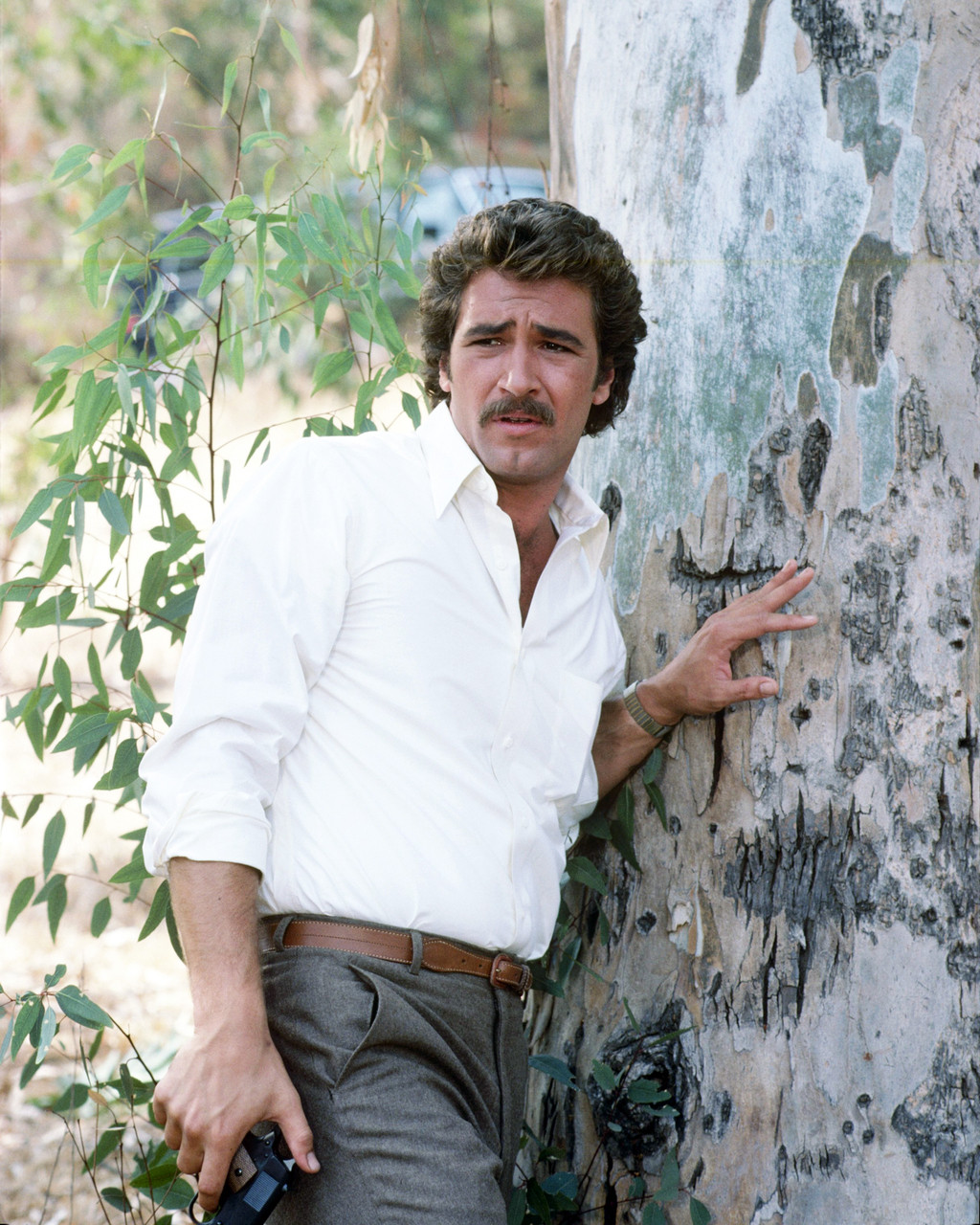 Lee Horsley Matt Houston Posters And Photos 296186 Movie Store