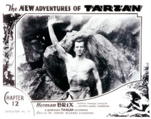 Picture of The New Adventures of Tarzan