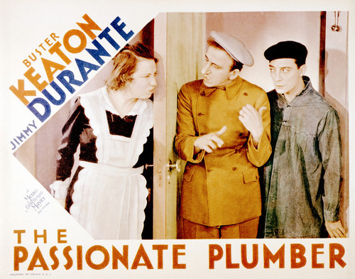 Picture of The Passionate Plumber