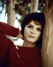 Picture of Katharine Ross