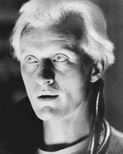 Picture of Rutger Hauer in Blade Runner