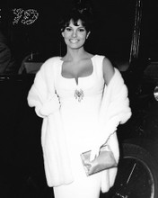 Picture of Raquel Welch