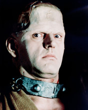 Picture of David Prowse in Frankenstein and the Monster from Hell