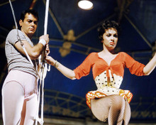 Picture of Gina Lollobrigida in Trapeze