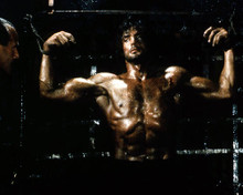 Picture of Sylvester Stallone in Rambo: First Blood Part II