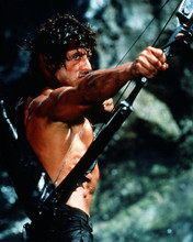 Picture of Sylvester Stallone